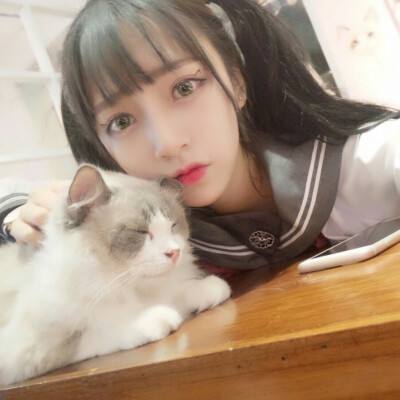 毁灭地球的光棍手机版